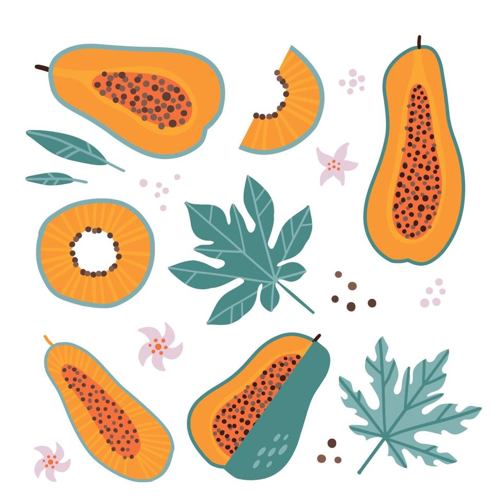 große reihe von isolierten papaya ganz und in scheiben geschnittene früchte, blumen und blätter. orangefarbenes tropisches Essen. elemente im modernen flachen stil. süßer Papain. vektor flache hand gezeichnete illustration