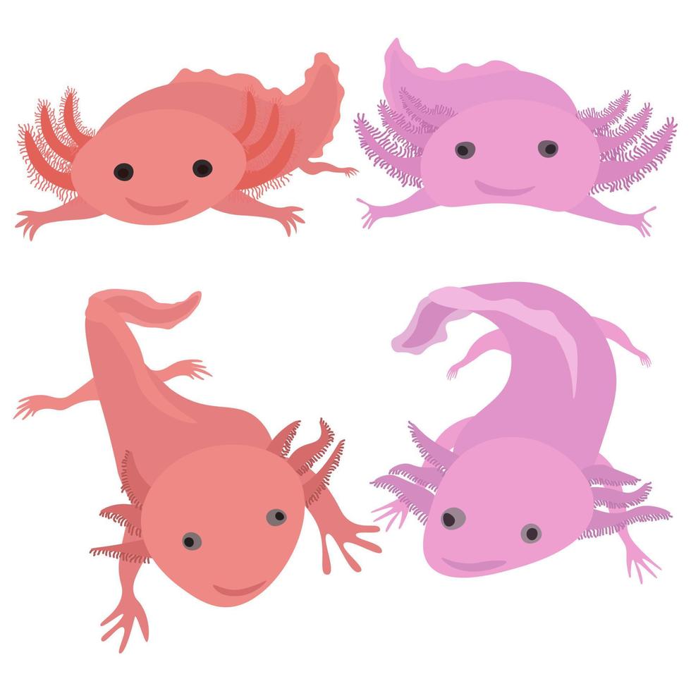 axolotl uppsättning söta djur av mild rosa färg, flytande amfibielarver vektor
