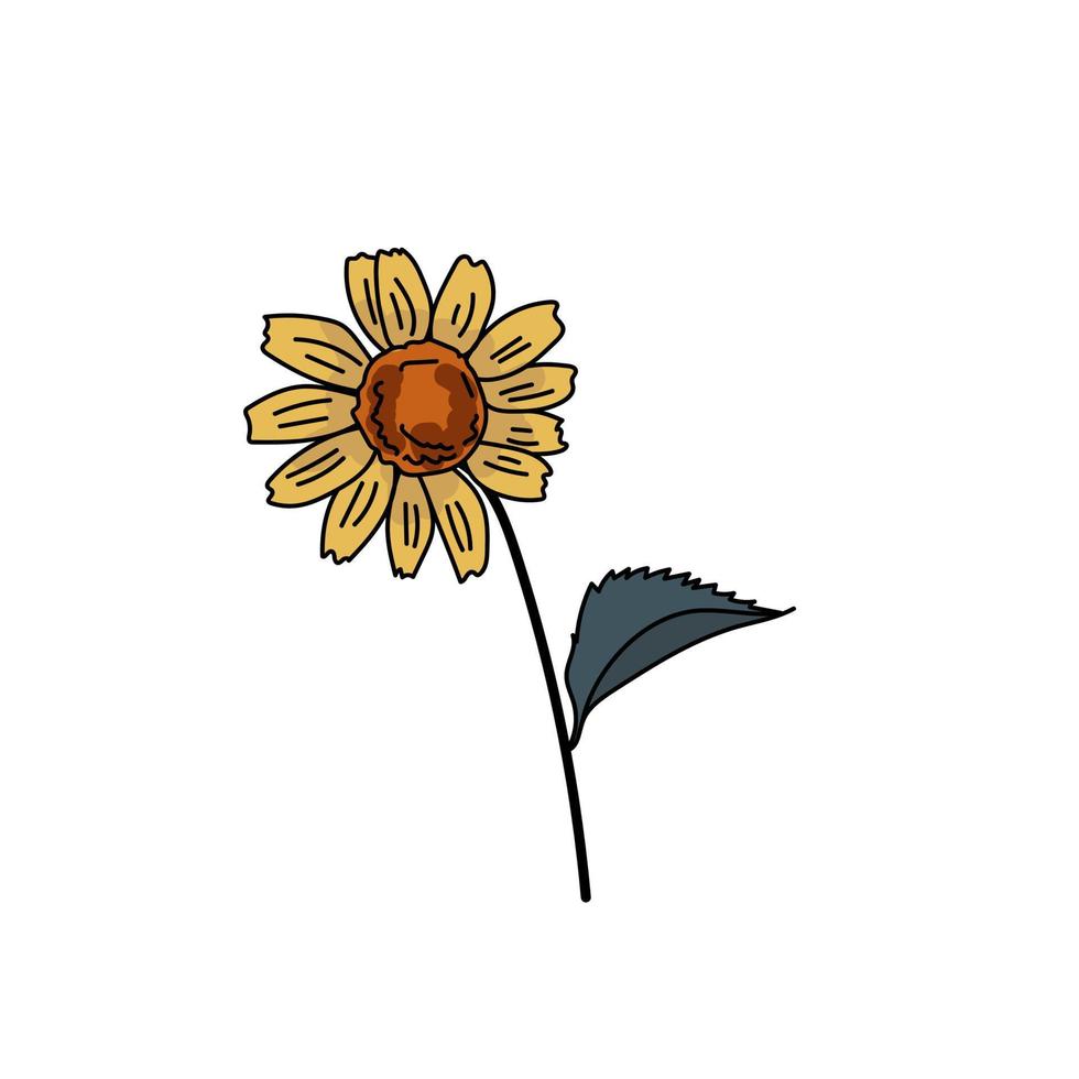 en gul blomma med ett grönt blad, en blommande växt med ett ljust orange centrum och fina gula kronblad vektor