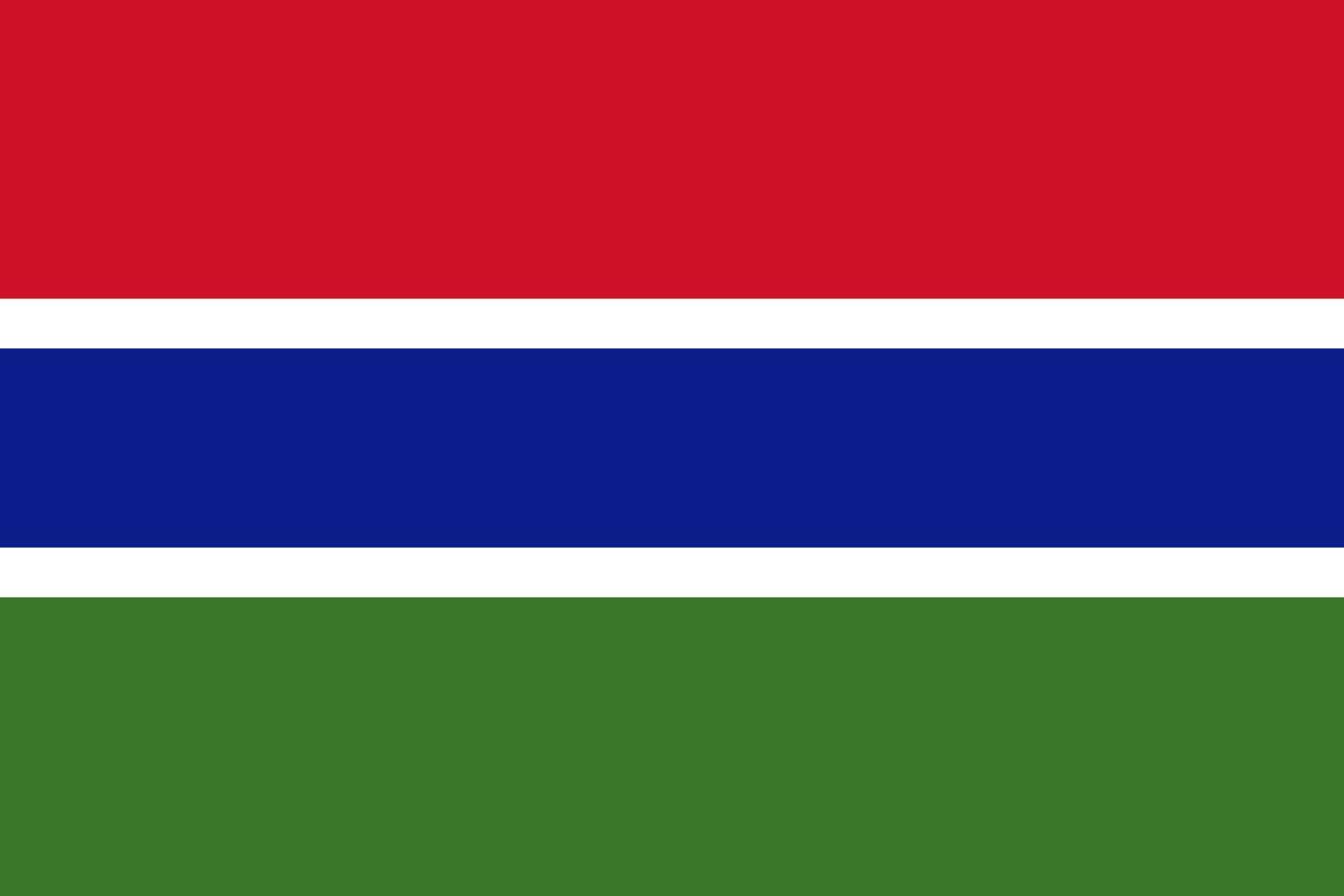 flache illustration der gambia-flagge vektor