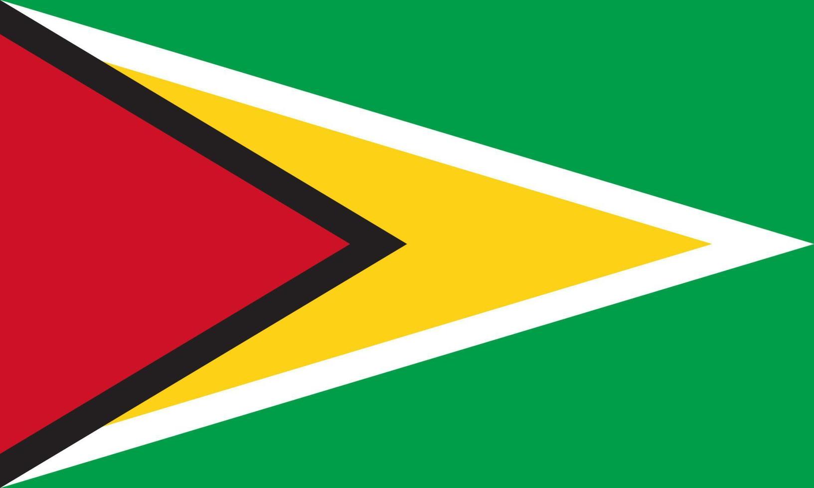 platt illustration av Guyana flagga vektor