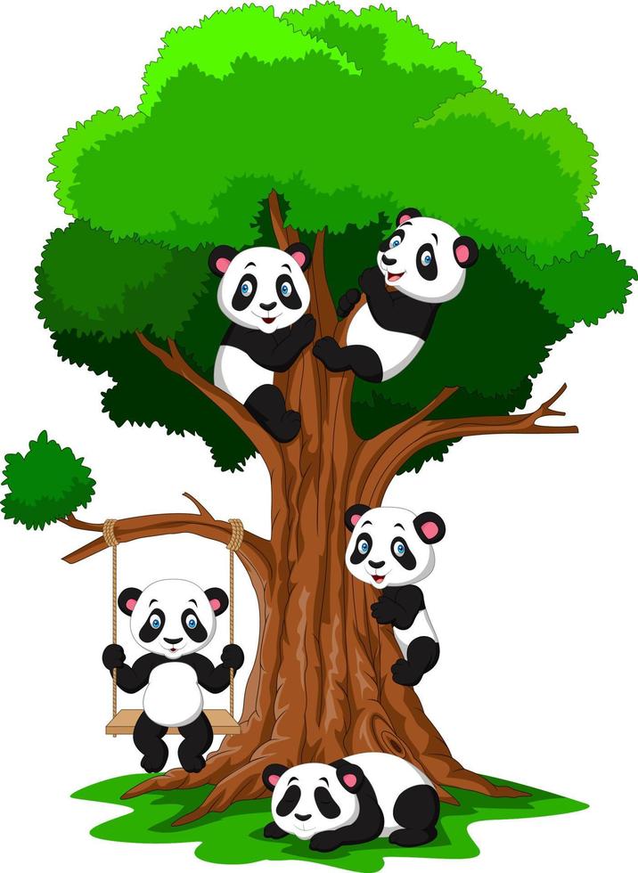 Cartoon-Baby-Panda spielt auf einem Baum vektor