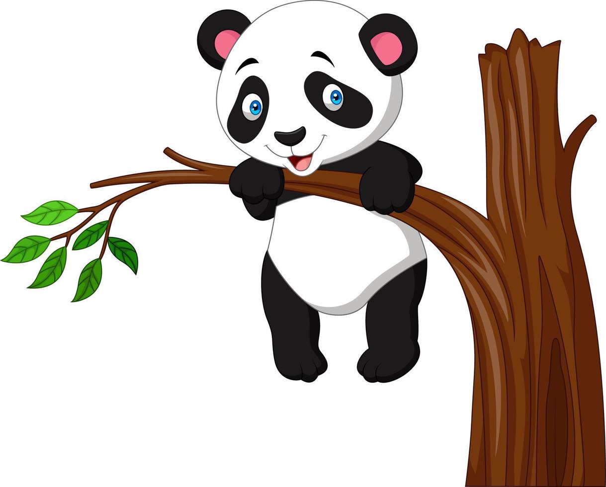 lustiger panda der karikatur, der am baum hängt vektor