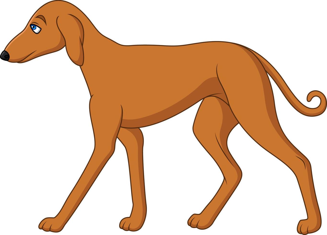 tecknad lång hund azawakh ras vektor