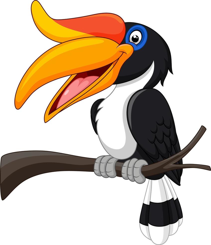 Cartoon Hornbill Vogel isoliert auf weißem Hintergrund vektor