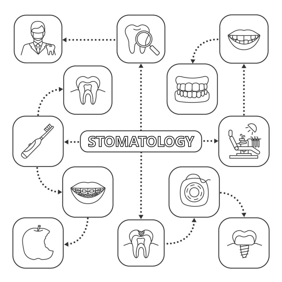 Stomatologie-Mindmap mit linearen Symbolen. zahnärztliche Instrumente, Probleme, Hygiene, Dienstleistungen. Konzeptschema der Zahnmedizin. isolierte vektorillustration vektor