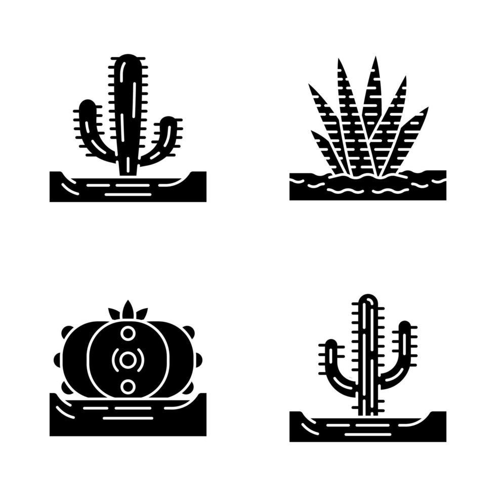 vilda kaktusar i marken glyf ikoner set. tropiska suckulenter. taggiga växter. mexikansk jätte, saguaro, peyote, zebrakaktus. siluett symboler. vektor isolerade illustration