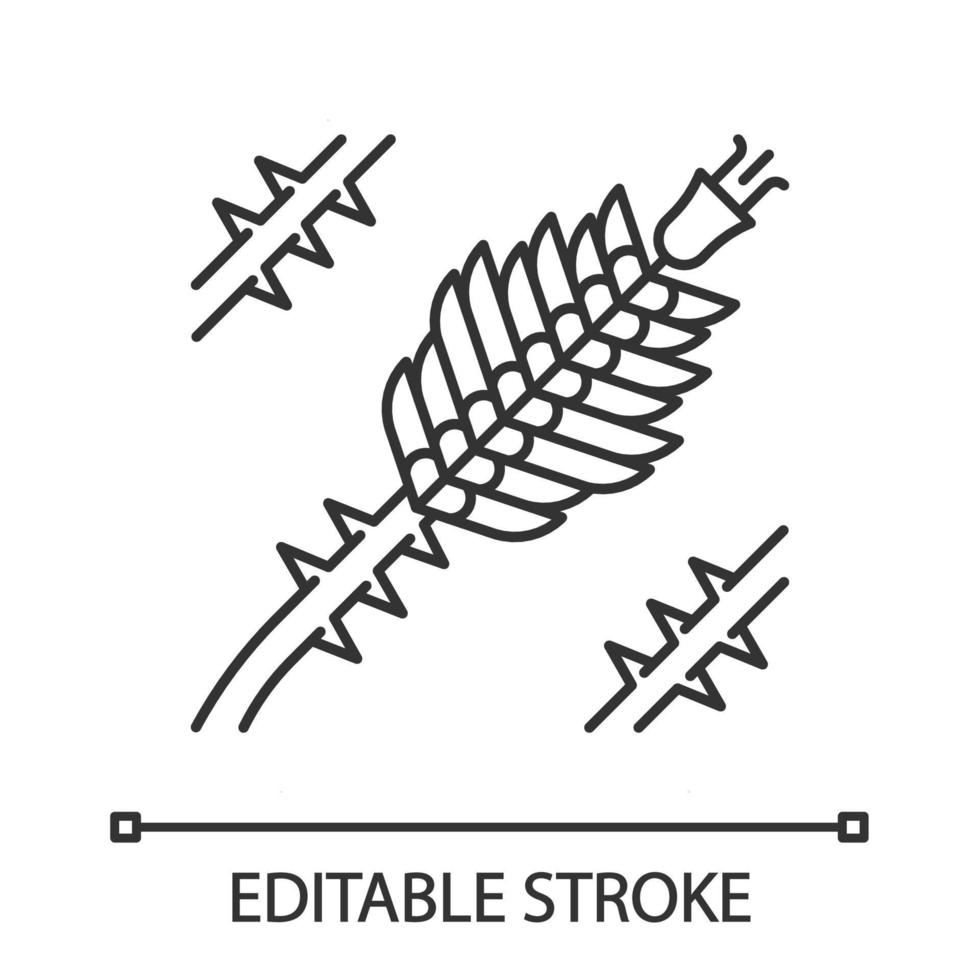 ocotillo linjär ikon. fouquieria splendens. exotisk blomma. taggig blommande växt. tunn linje illustration. kontur symbol. vektor isolerade konturritning. redigerbar linje