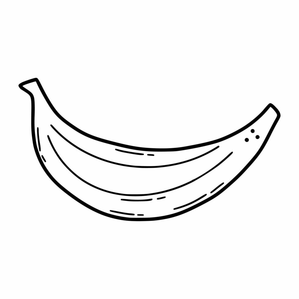 Banane auf weißem Hintergrund. Vektor-Skizze-Illustration. Gemüse und Früchte. vektor