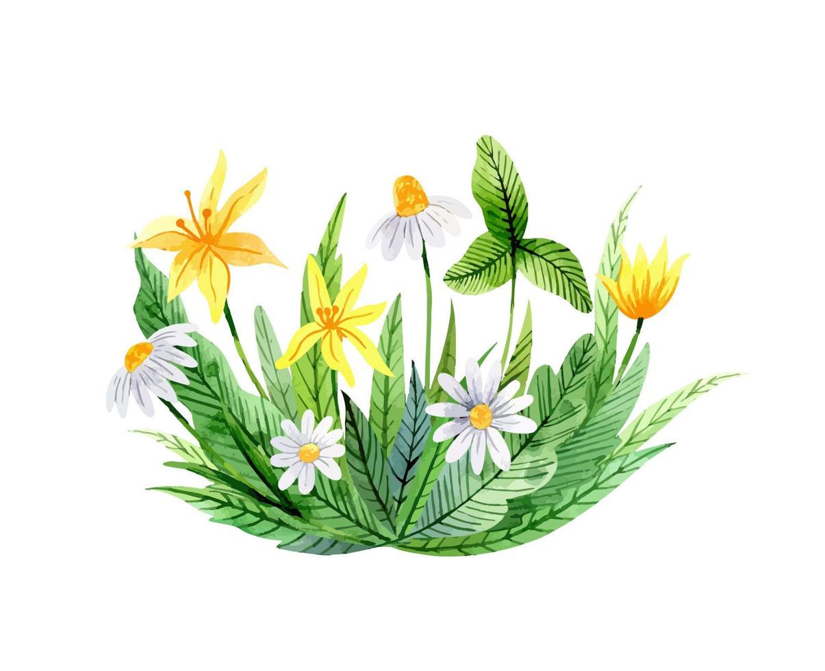 akvarellbukett med vackra vilda blommor vektor