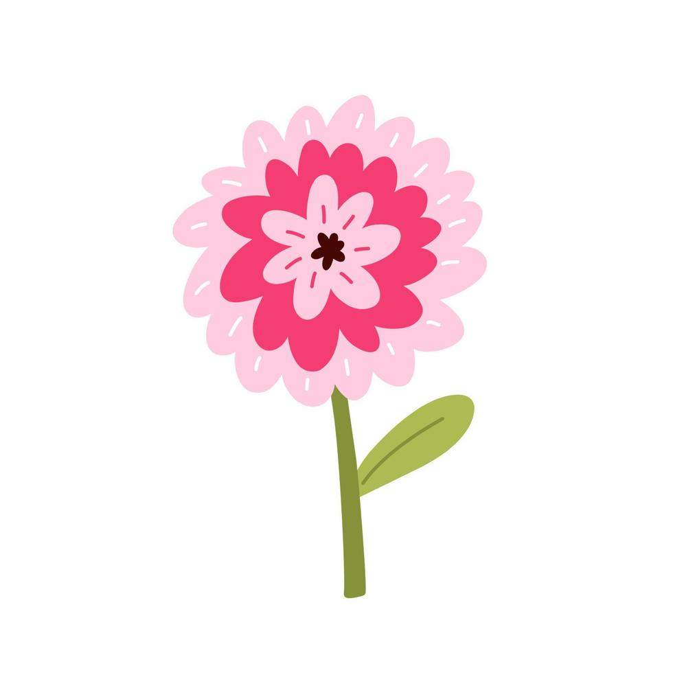 süße rosa zinnie mit blättern isoliert auf weißem hintergrund. vektorillustration im handgezeichneten flachen stil. Perfekt für Karten, Logos, Dekorationen, Frühlings- und Sommerdesigns. botanische Cliparts. vektor