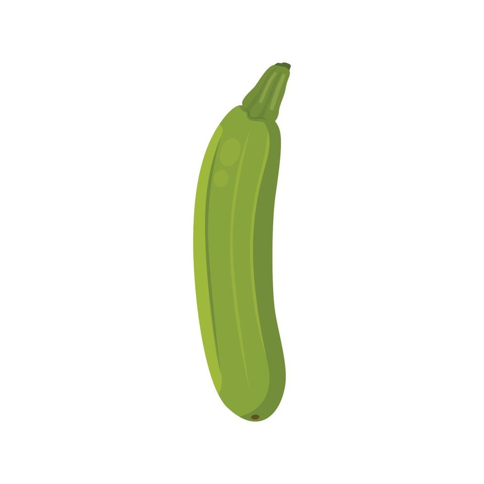 platt vektor av zucchini isolerad på vit bakgrund. platt illustration grafisk ikon
