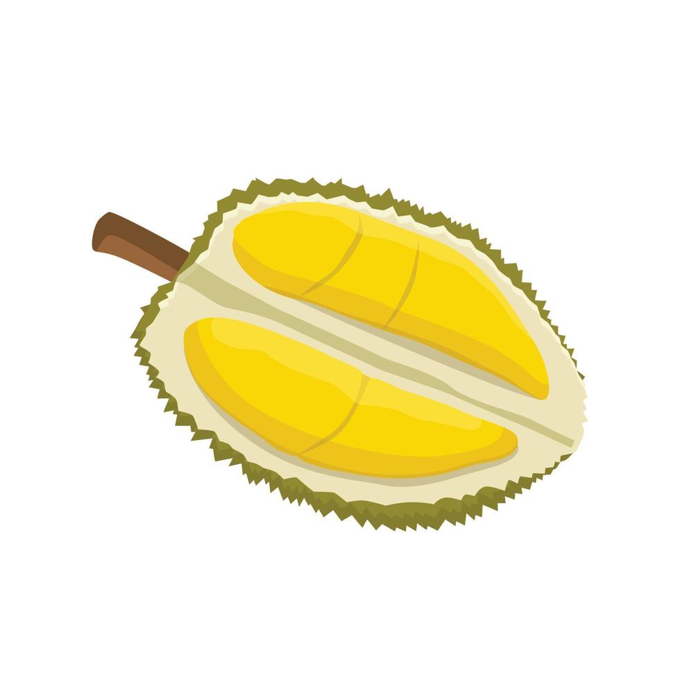 flacher Vektor von Durian isoliert auf weißem Hintergrund. flache Abbildung Grafiksymbol