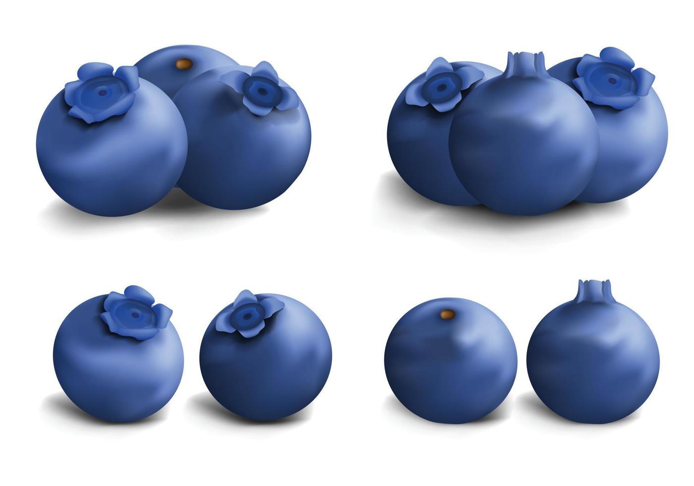 Blaubeer-Icon-Set, realistischer Stil vektor