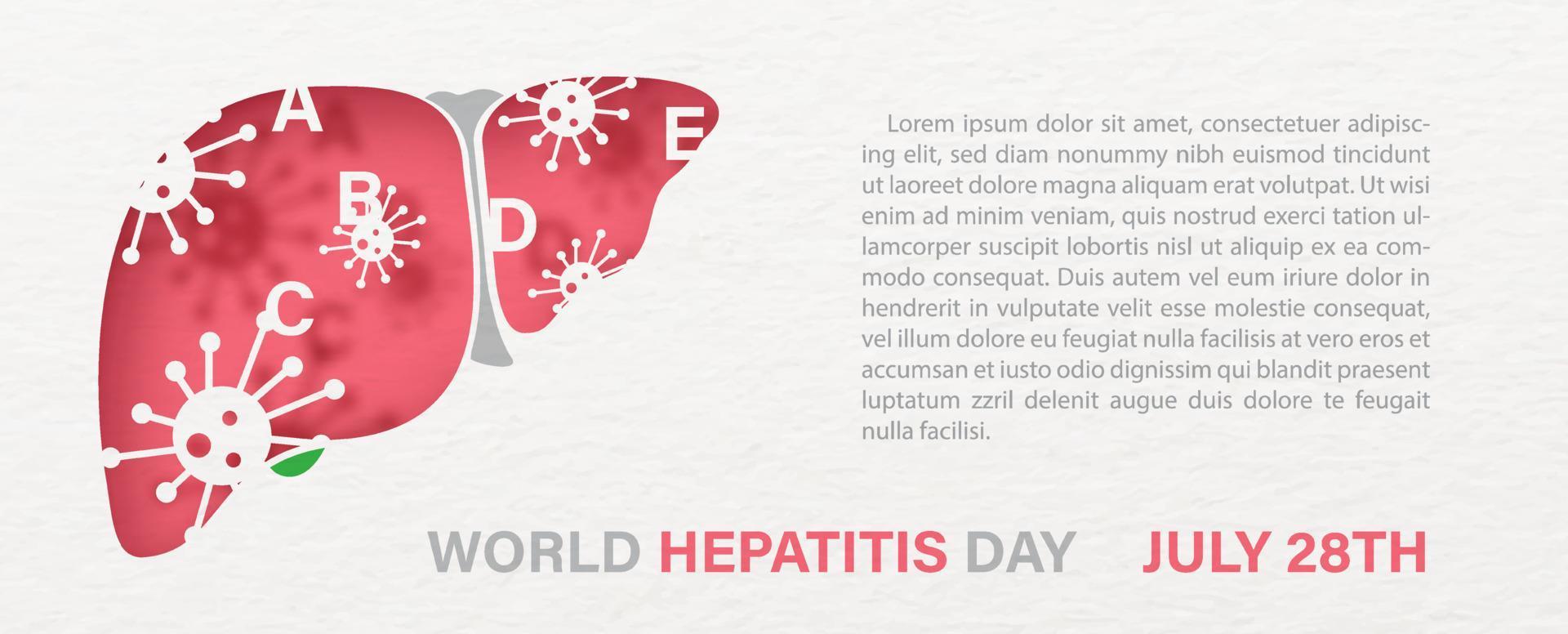hepatitis-virus auf der menschlichen leber und wortlaut des welthepatitistages, beispieltexte auf weißem papiermusterhintergrund. posterkampagne im papierschnittstil und bannervektordesign. vektor