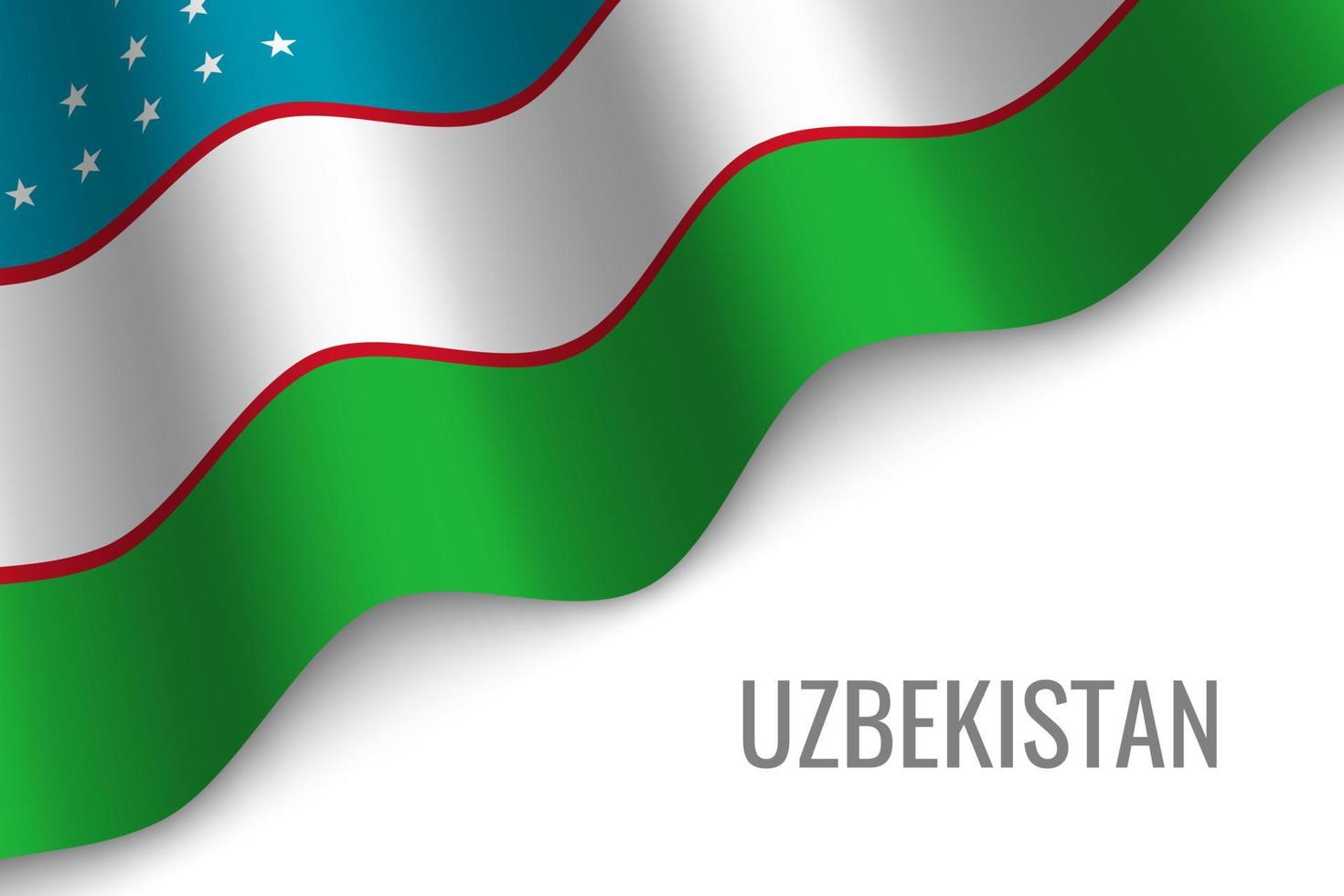 schwenkende Flagge mit Copyspace vektor