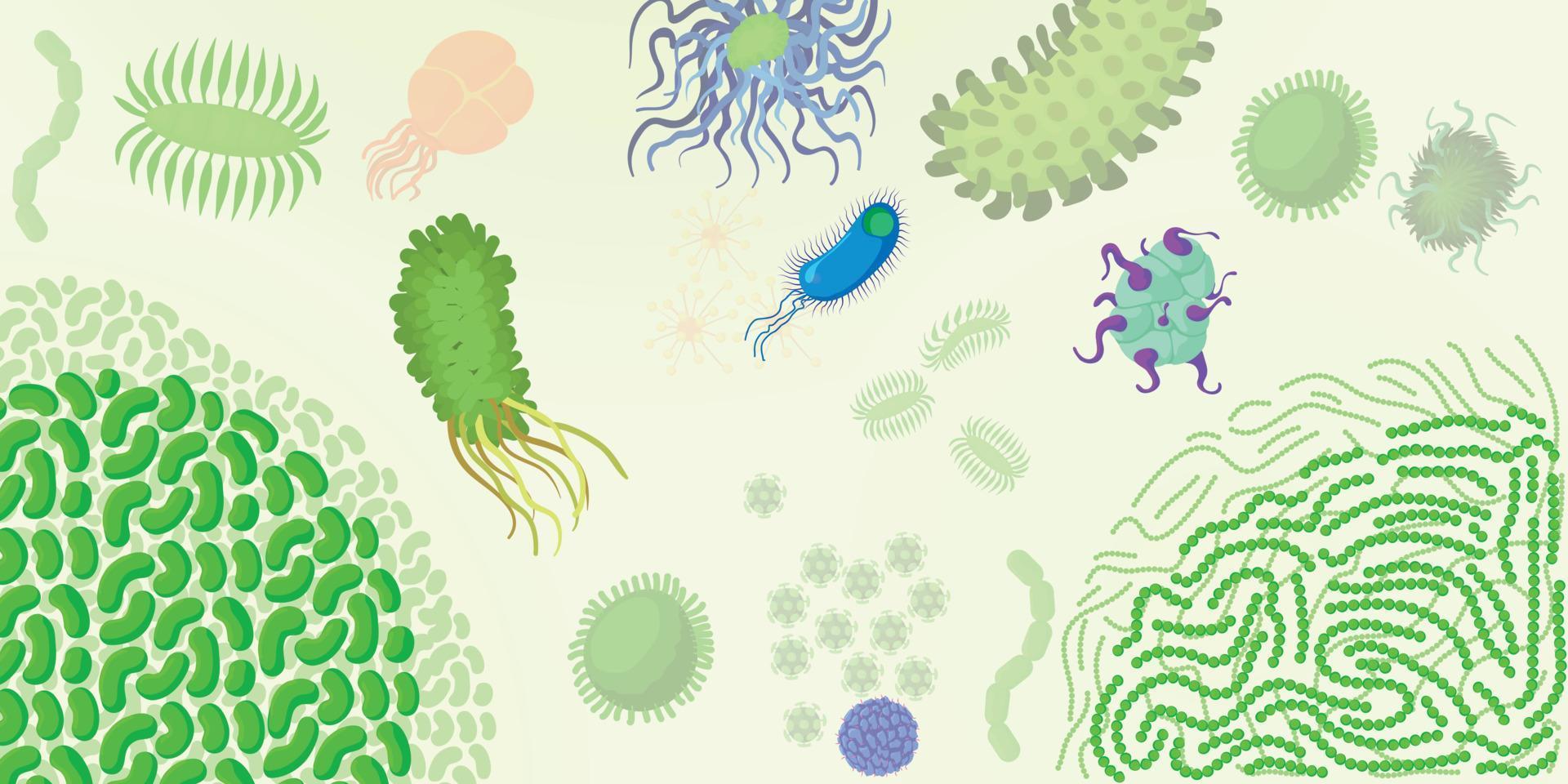 virus bakterie horisontell banner, tecknad stil vektor