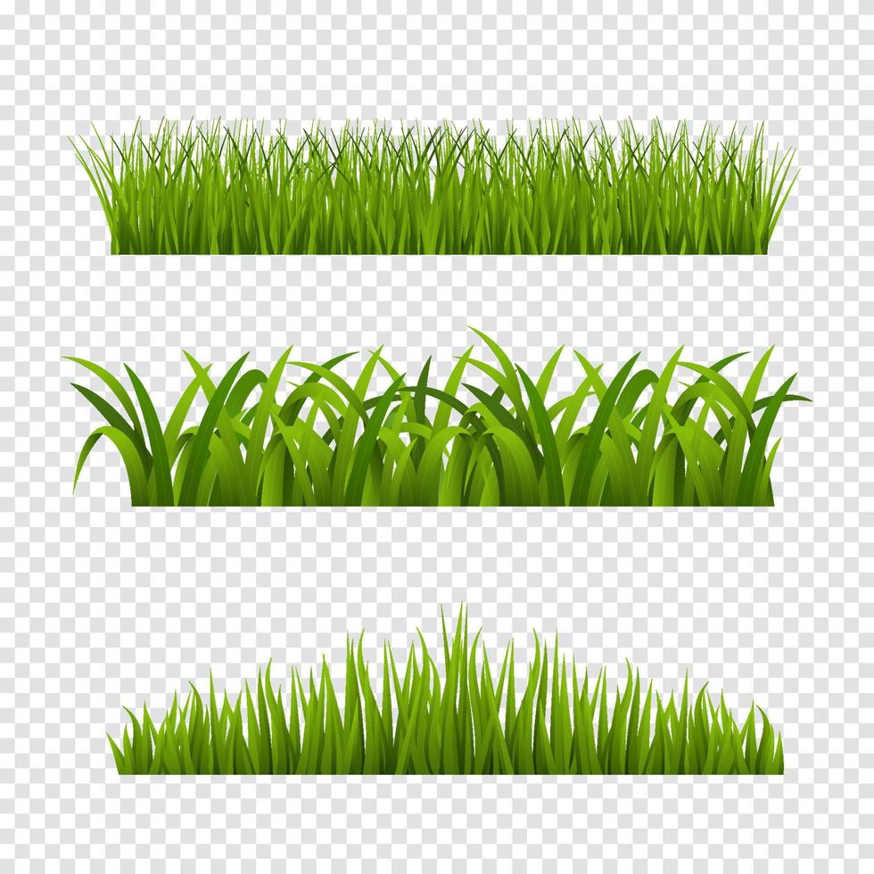gräs element transparent bakgrund vektor