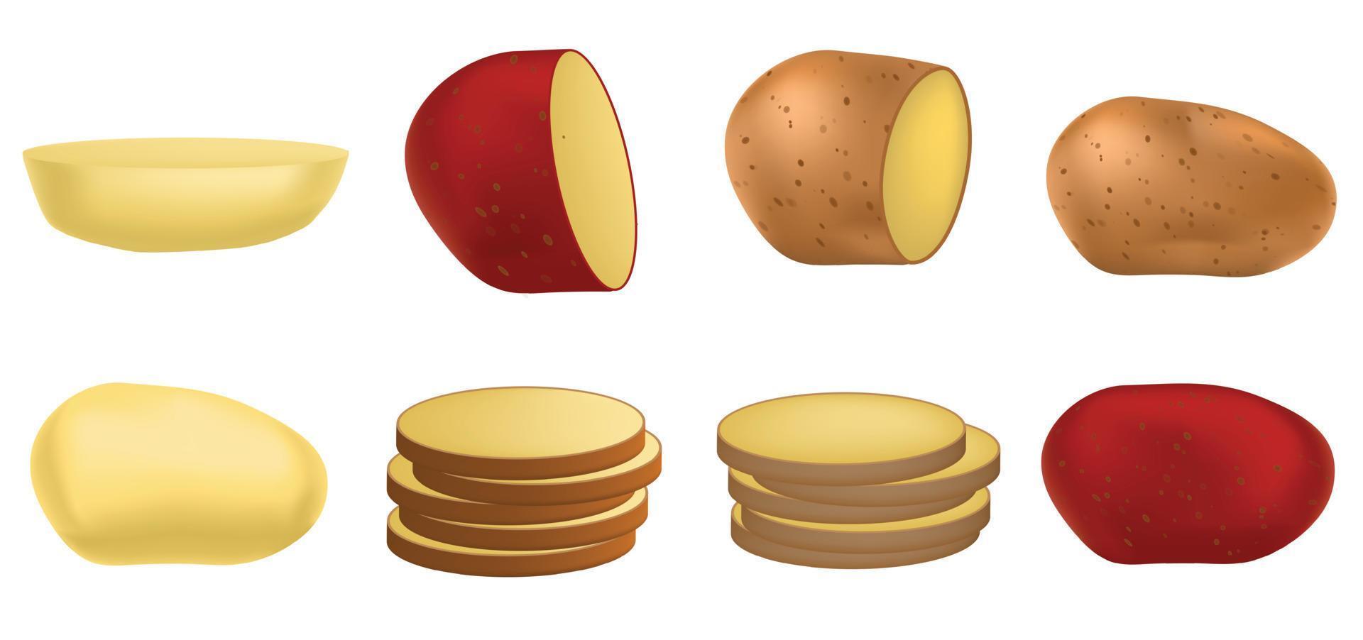 Kartoffel-Icon-Set, realistischer Stil vektor