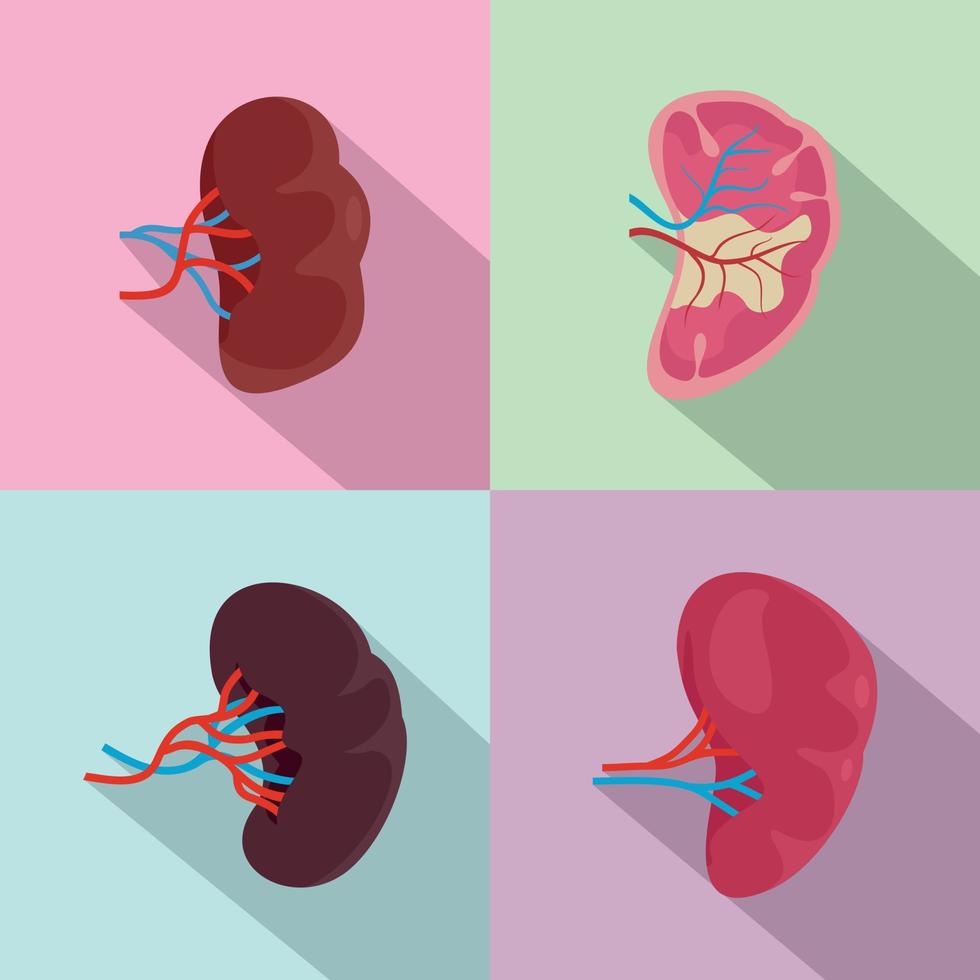 Milz Anatomie Symbole gesetzt, flacher Stil vektor