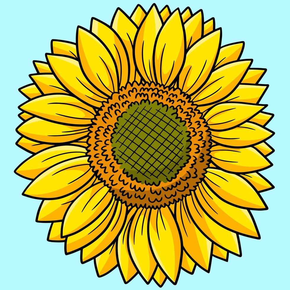 solros blomma färgad tecknad illustration vektor