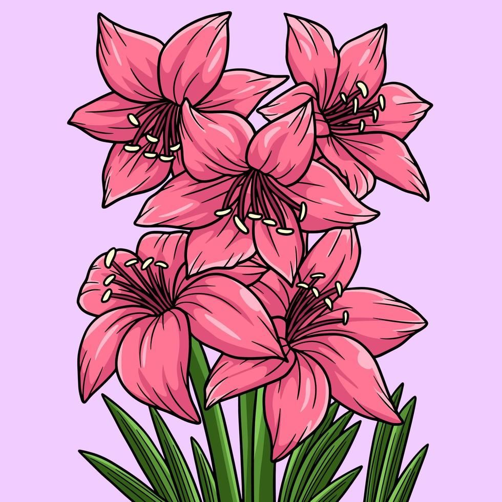 amaryllis blomma färgad tecknad illustration vektor