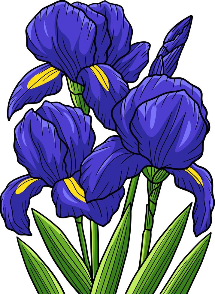 iris blomma tecknad färgad clipart illustration vektor