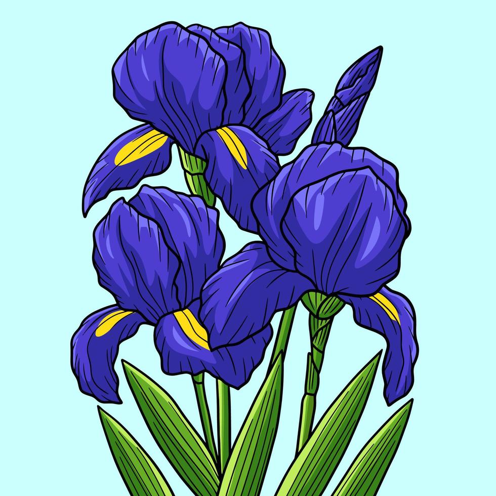 iris blomma färgad tecknad illustration vektor