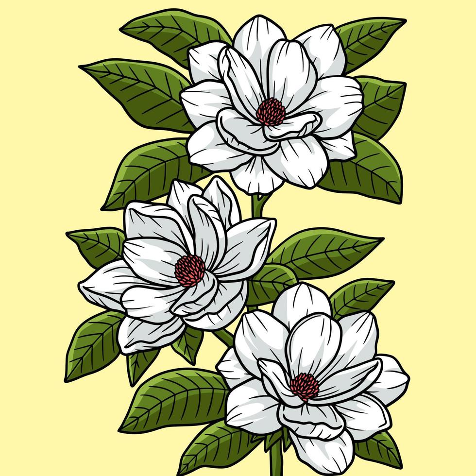 magnolia blomma färgad tecknad illustration vektor