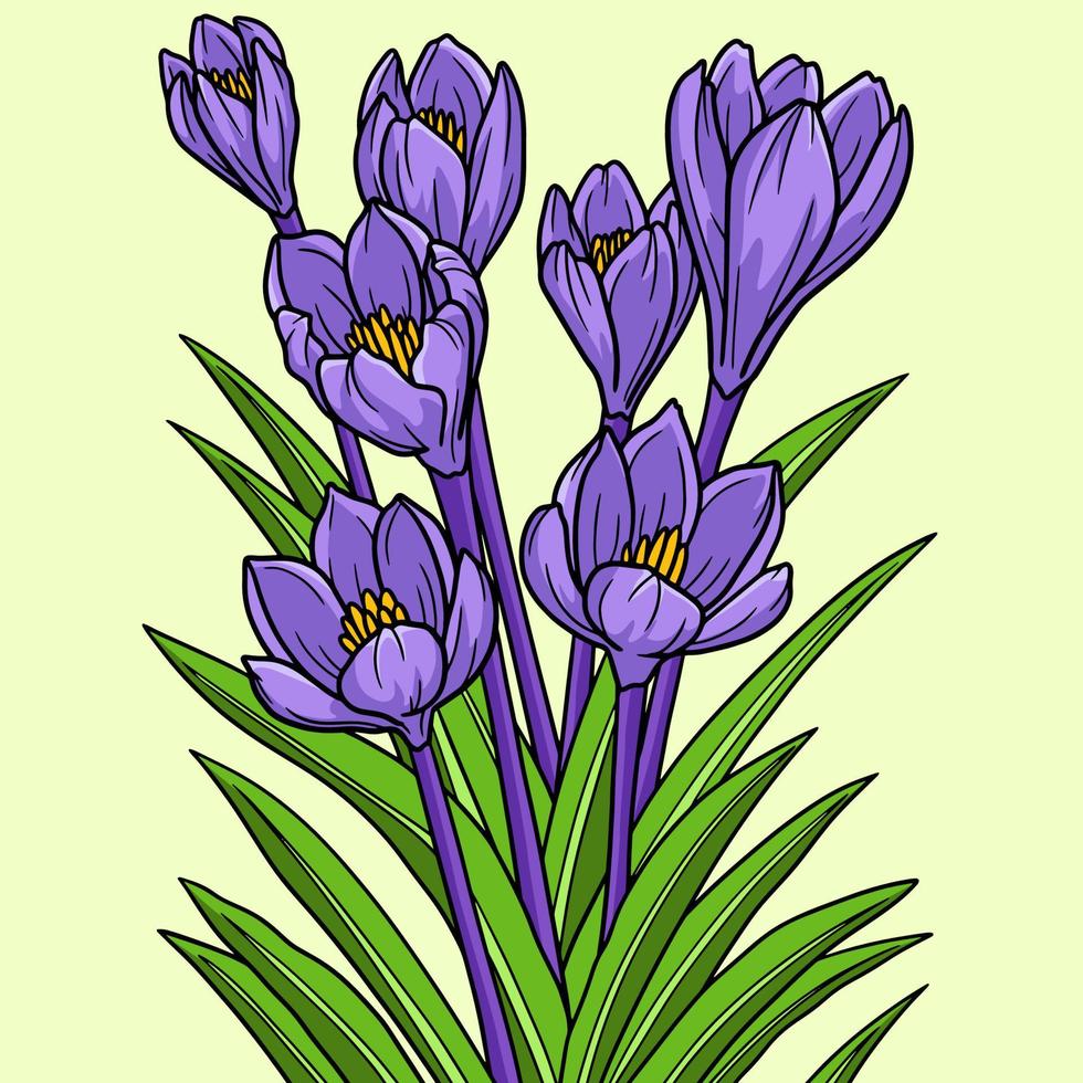 krokus blomma färgad tecknad illustration vektor