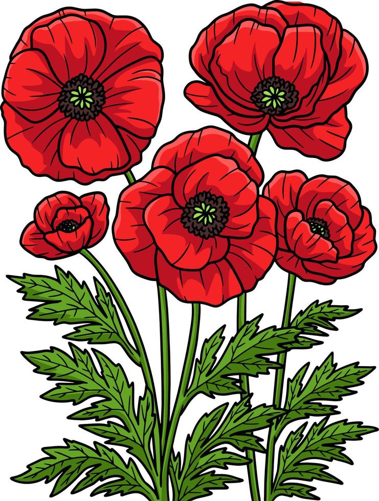 Klatschmohn Blume Cartoon farbige Cliparts vektor