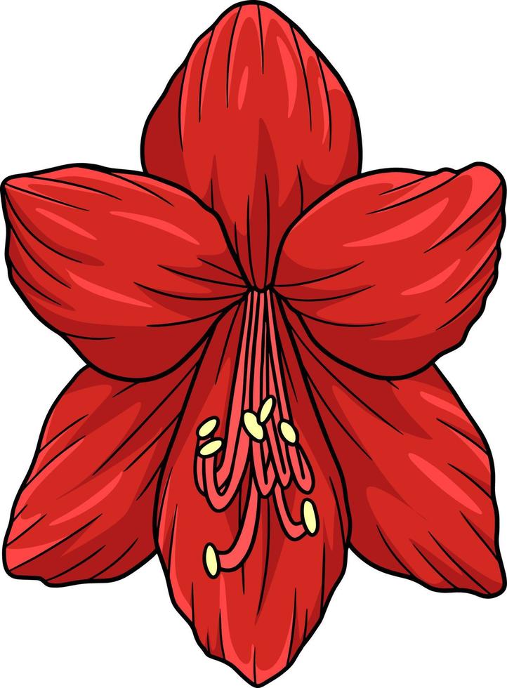 Amaryllis-Blume Cartoon farbige Cliparts vektor