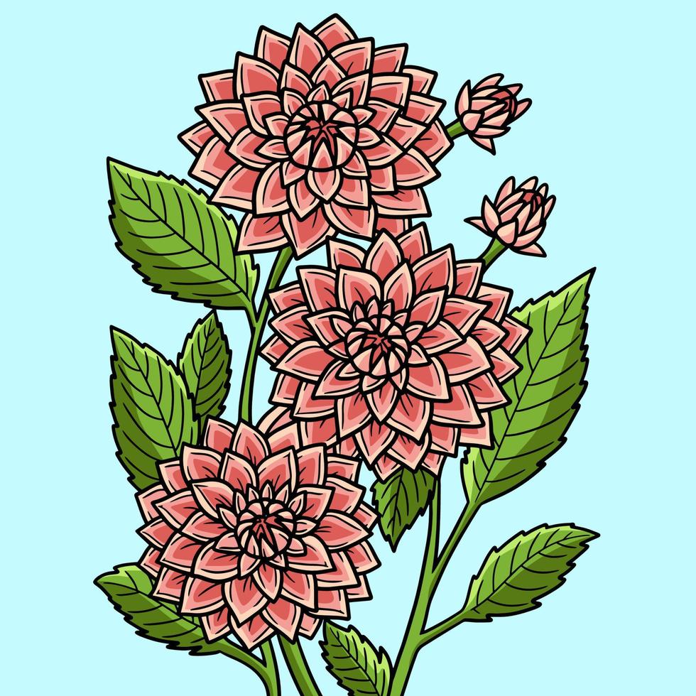 dahlia blomma färgad tecknad illustration vektor