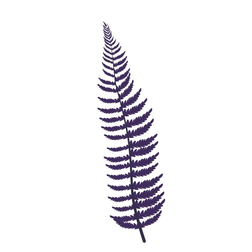 Farn Zweig Vektor Stock Illustration. eine tropische Pflanze. Schablone, Symbol. isoliert auf weißem Hintergrund.