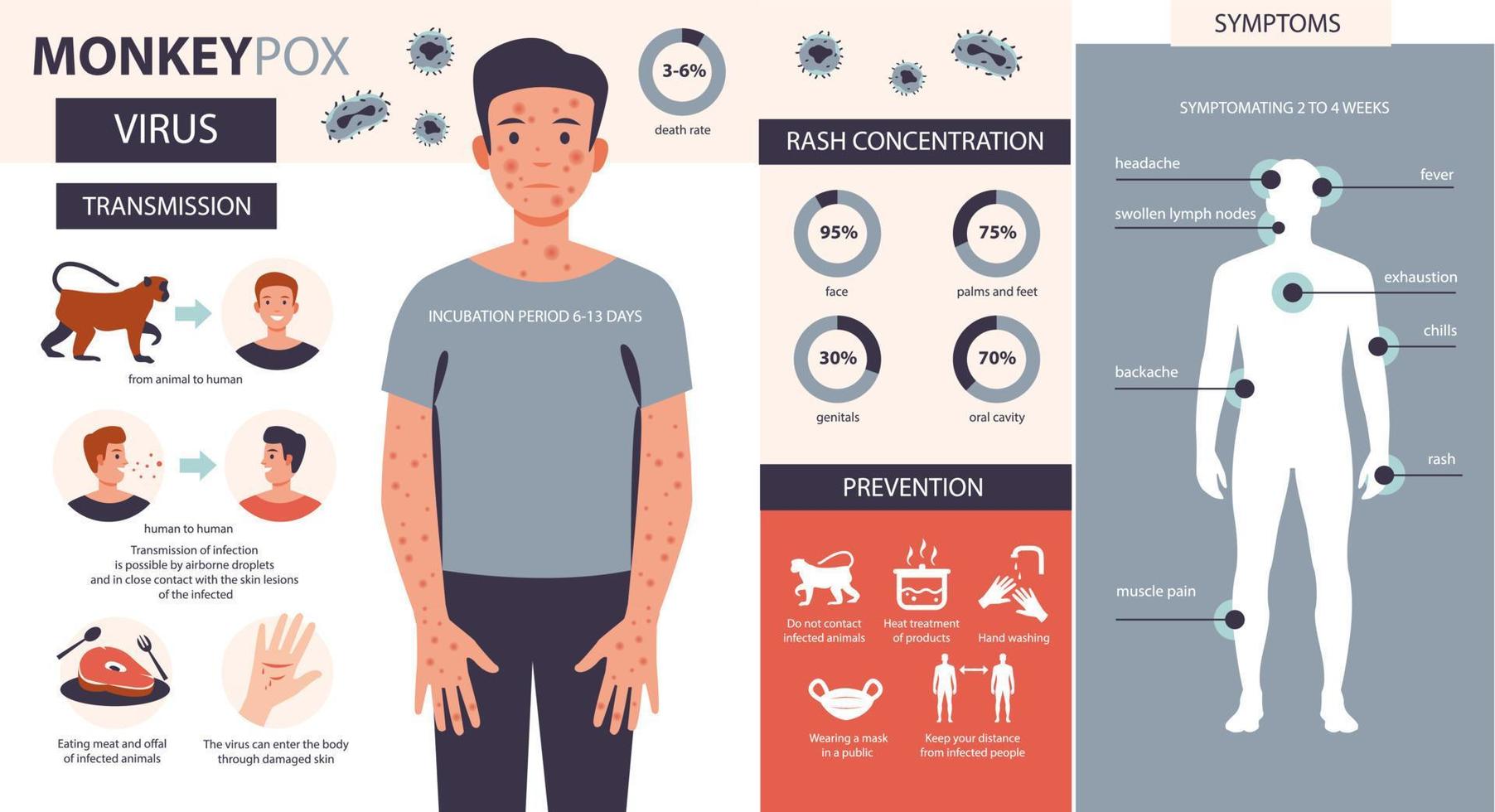 Monkeypox virus infographic. infektion, symtom, förebyggande av sjukdomen apkoppor. platt vektorillustration vektor