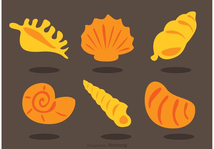 Samling av Sea Shell Vectors