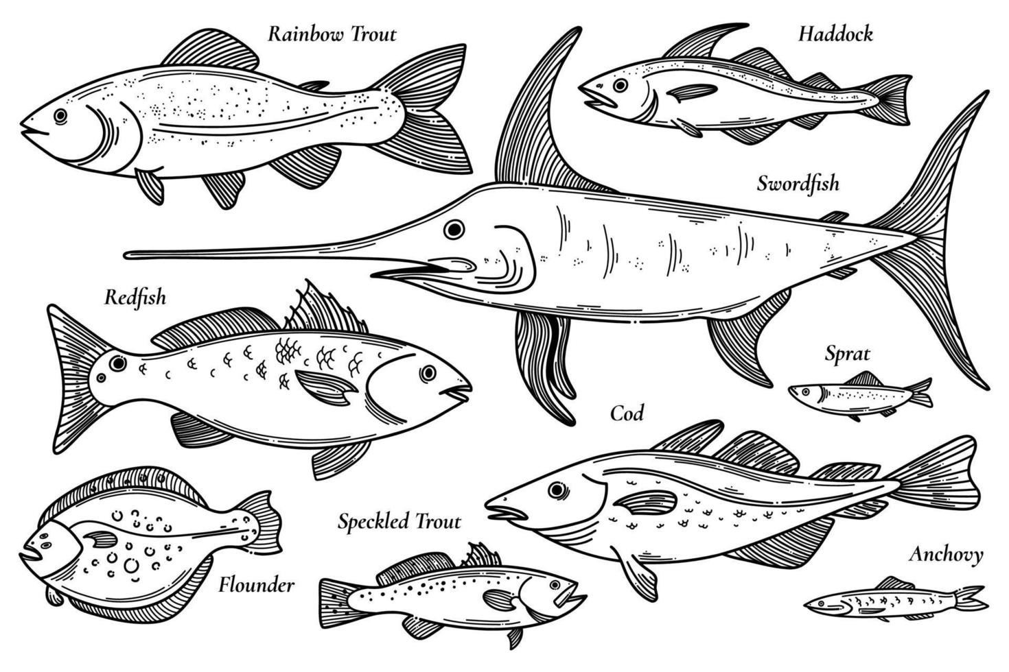 samling av vektor fisk illustration. scetch skaldjursset. regnbåge, kolja, svärdfisk, kungsfisk, torsk, skarpsill, torsk, ansjovis, spräcklig öring, flundra doodle set med fiskillustrationer