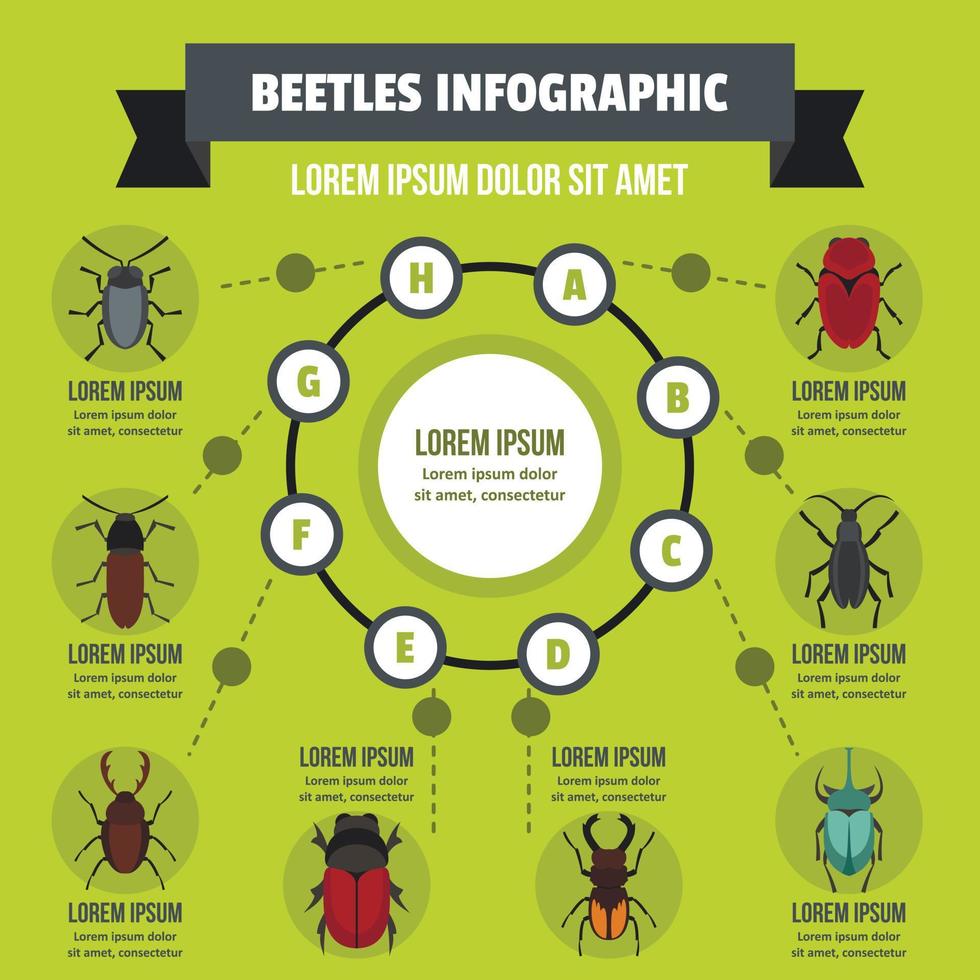 Beatles-Infografik-Konzept, flacher Stil vektor