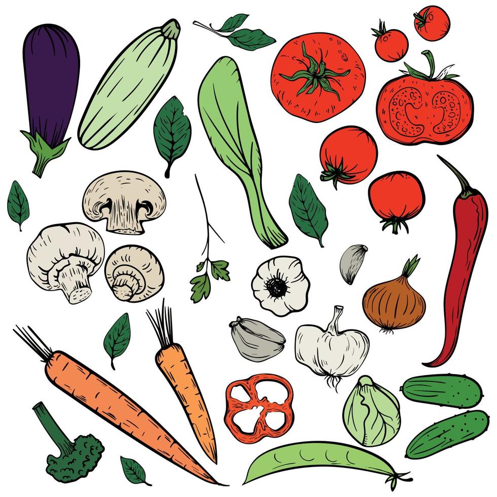 grönsaker handritad illustration skiss färgglada vektor menyuppsättning. purjolök, kulinariska örter, vitlök, gurka, paprika, lök, selleri, sparris, kål, svamp, morot, tomat, aubergine, ärtor och så vidare