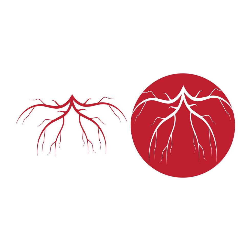 menschliche venen, rotes blutgefäßdesign und arterienvektorillustration lokalisiert vektor