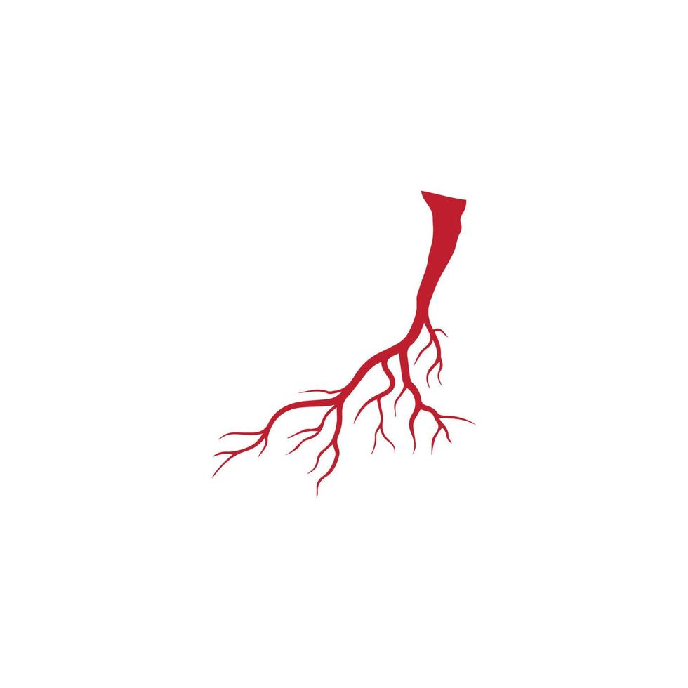 mänskliga vener, röda blodkärl design och artärer vektor illustration isolerade
