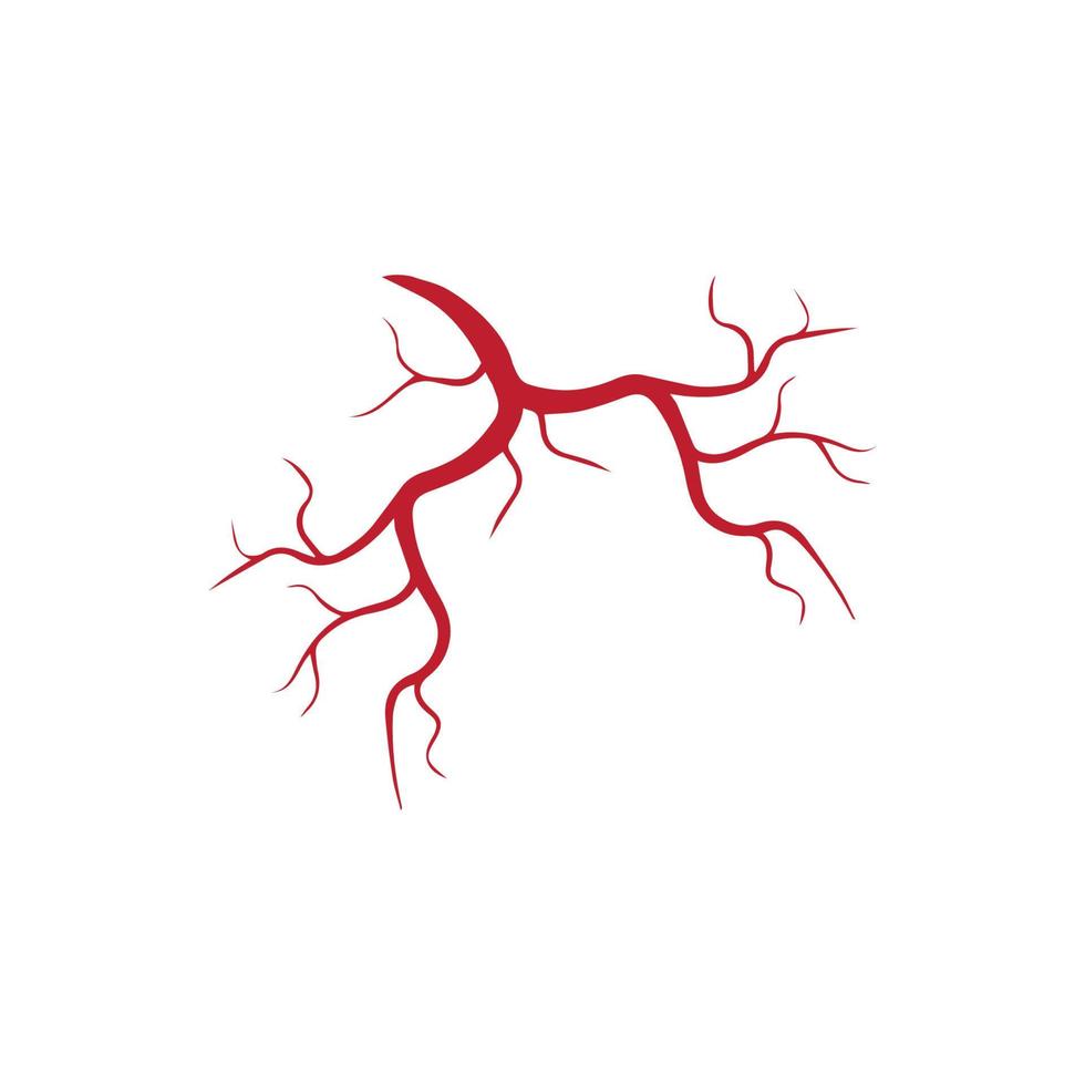 menschliche venen, rotes blutgefäßdesign und arterienvektorillustration lokalisiert vektor