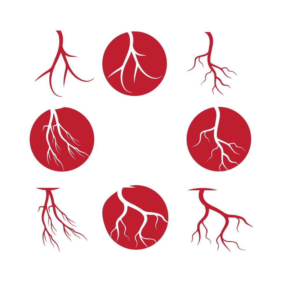 menschliche venen, rotes blutgefäßdesign und arterienvektorillustration lokalisiert vektor