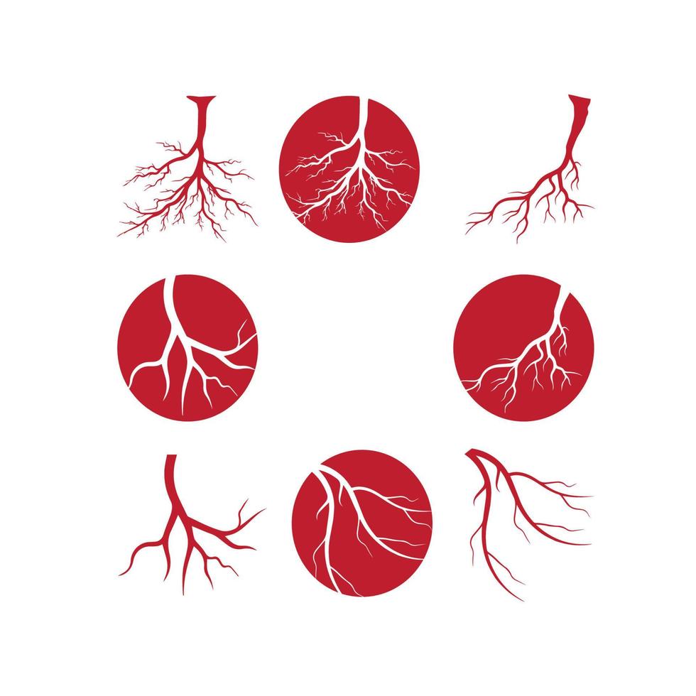 mänskliga vener, röda blodkärl design och artärer vektor illustration isolerade