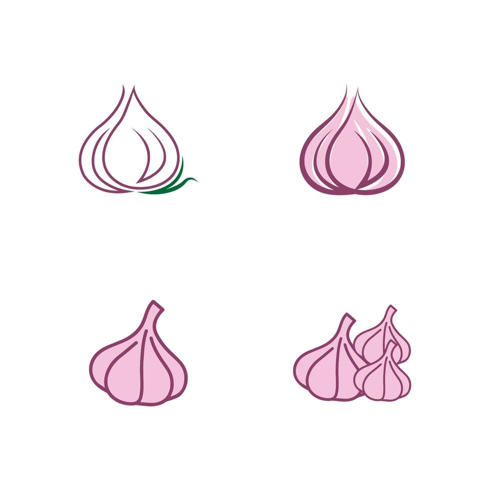 Entwurfsvorlage für Knoblauch-Vektorsymbol-Illustrationen vektor