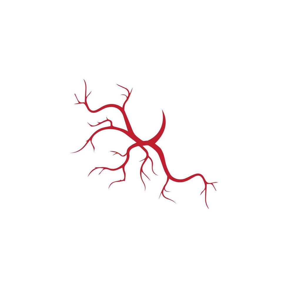 menschliche venen, rotes blutgefäßdesign und arterienvektorillustration lokalisiert vektor