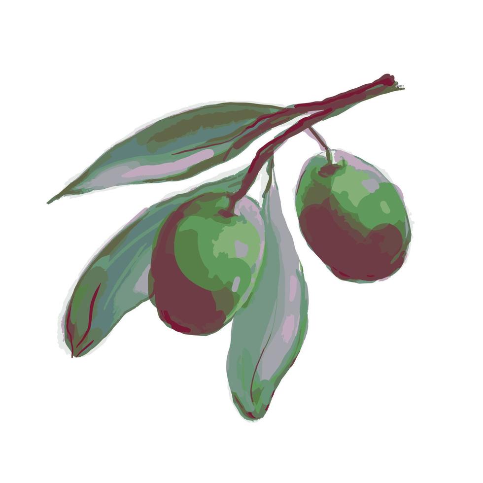 vildsvin träd oliver med frukt vektor illustration