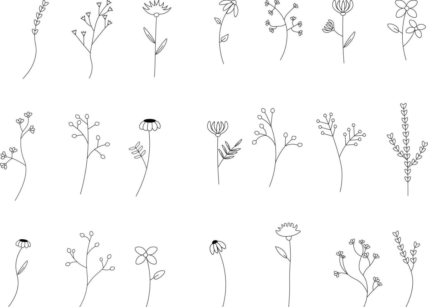 Sommerblumen gesetzt. Schwarz-Weiß-Doodle-Illustration isoliert auf weißem Hintergrund. set doodles von pflanzen und blumen illustration vektor