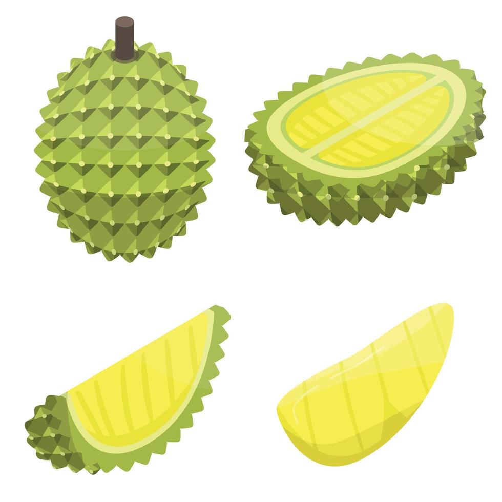 durian ikoner set, isometrisk stil vektor