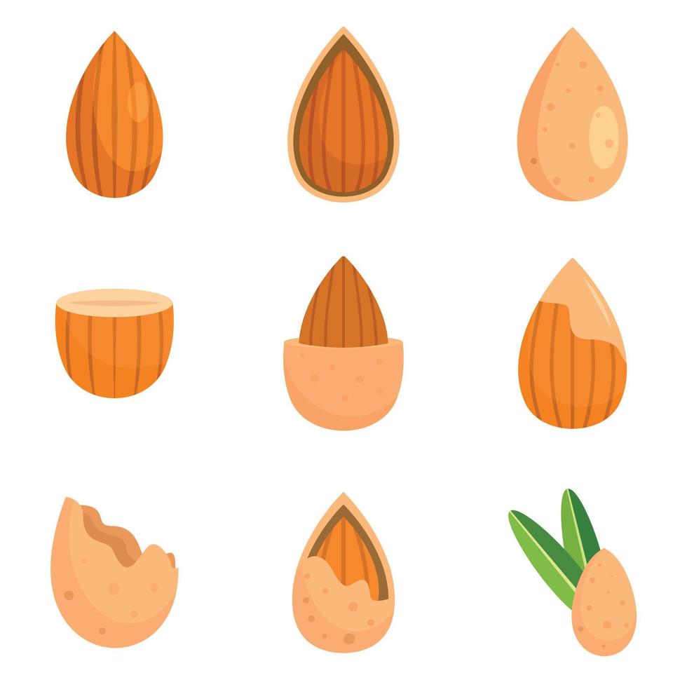 Mandel-Walnuss-Öl-Samen-Symbole setzen flachen Stil vektor